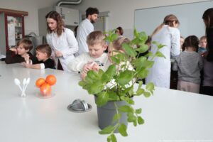 Noc Biologów 2026. Sala laboratoryjna. Na pierwszym planie na stole w doniczce mięta. Przy długich stołach dzieci. Na stole łyżki i mandarynki. Dzieci ubijają owoce w moździerzach. Pracę nadzoruje troje laborantów.