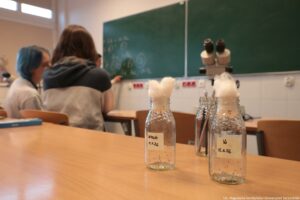 Noc Biologów 2026. Sala lekcyjna. Na pierwszym planie stojące na ławce butelki zatkane watą. Za nimi na drugiej ławce – mikroskop. W tle zielona tablica i dwie uczennice (po lewej stronie, tyłem do kadru).
