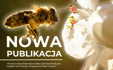 Nowa publikacja zespołu Centrum Immunologii Uniwersytetu Szczecińskiego