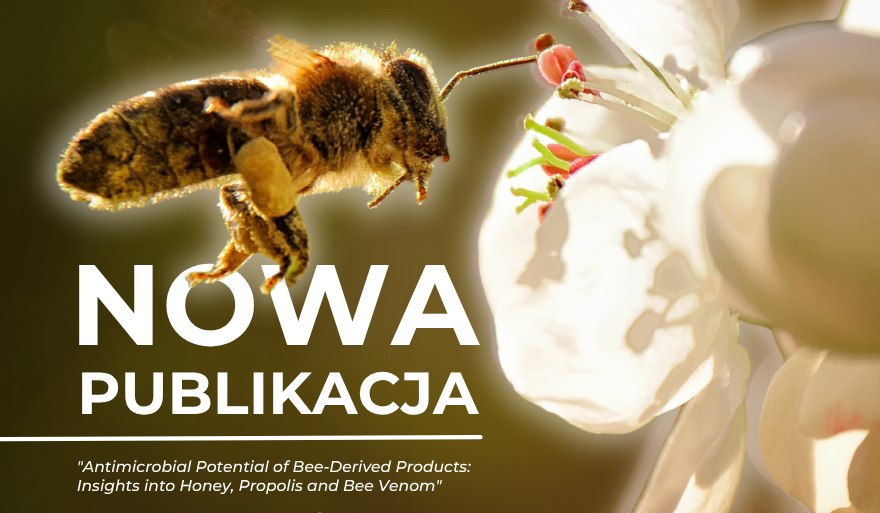 Nowa publikacja zespołu Centrum Immunologii Uniwersytetu Szczecińskiego