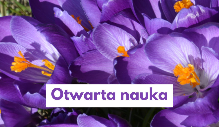 Nowa strona internetowa – Otwarta nauka