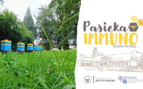 Ruszył nowy projekt „Pasieka IMMUNO”