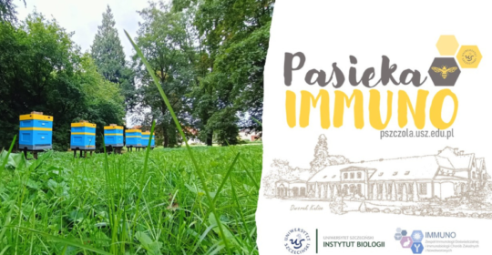 Ruszył nowy projekt „Pasieka IMMUNO”