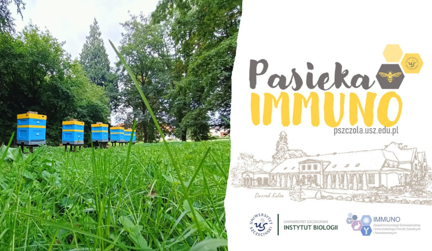 Ruszył nowy projekt „Pasieka IMMUNO”