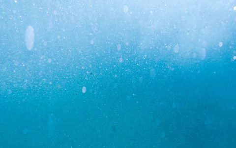 Wykład: „Plankton and Climate Change”