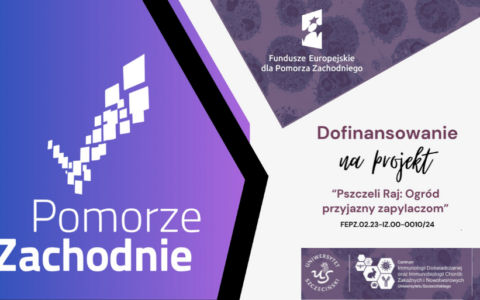 Projekt „Pszczeli Raj: Ogród przyjazny zapylaczom” z finansowaniem