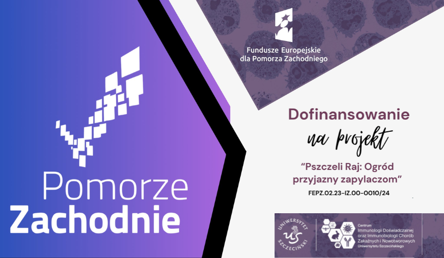 Projekt „Pszczeli Raj: Ogród przyjazny zapylaczom” z finansowaniem