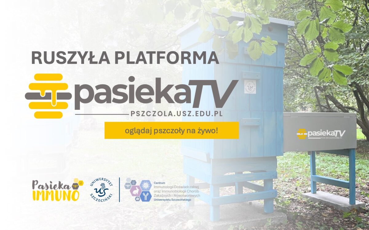PASIEKA TV – innowacyjny projekt śledzenia życia pszczół