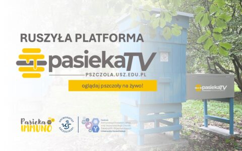 PASIEKA TV – innowacyjny projekt śledzenia życia pszczół