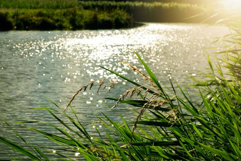 I miejsce w konkursie Fish Passage 2020
