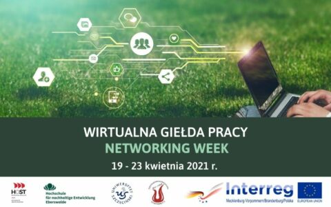 Kolejna edycja Wirtualnej Giełdy Pracy