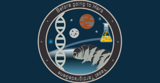 Sławosz Uznański-Wiśniewski zbada eksperyment naszych naukowców