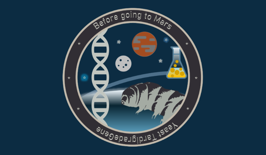 Kamienie milowe projektu Yeast TardigradeGene w drodze na ISS